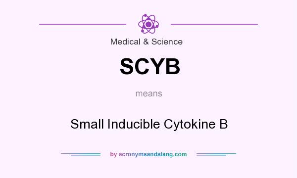 What does SCYB mean? It stands for Small Inducible Cytokine B