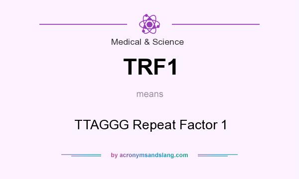 What does TRF1 mean? It stands for TTAGGG Repeat Factor 1