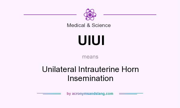What does UIUI mean? It stands for Unilateral Intrauterine Horn Insemination