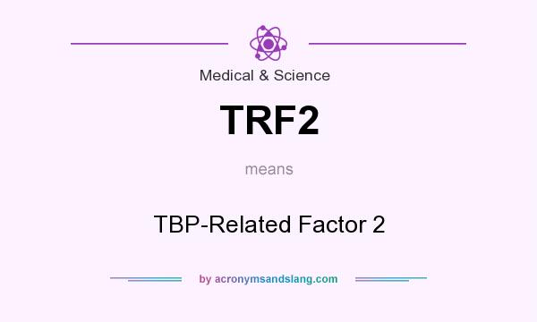 What does TRF2 mean? It stands for TBP-Related Factor 2