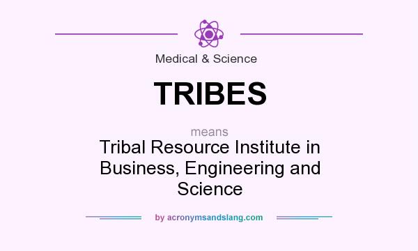 What does TRIBES mean? It stands for Tribal Resource Institute in Business, Engineering and Science