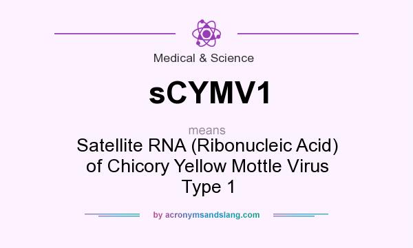 What does sCYMV1 mean? It stands for Satellite RNA (Ribonucleic Acid) of Chicory Yellow Mottle Virus Type 1