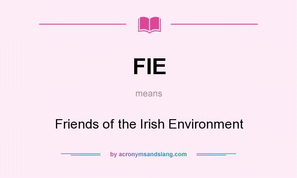 What does FIE mean? It stands for Friends of the Irish Environment