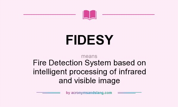 What does FIDESY mean? It stands for Fire Detection System based on intelligent processing of infrared and visible image