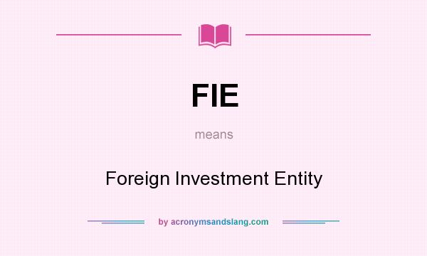 What does FIE mean? It stands for Foreign Investment Entity
