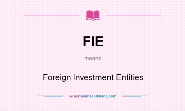 What does FIE mean? It stands for Foreign Investment Entities