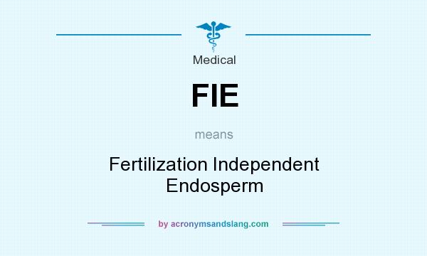 What does FIE mean? It stands for Fertilization Independent Endosperm