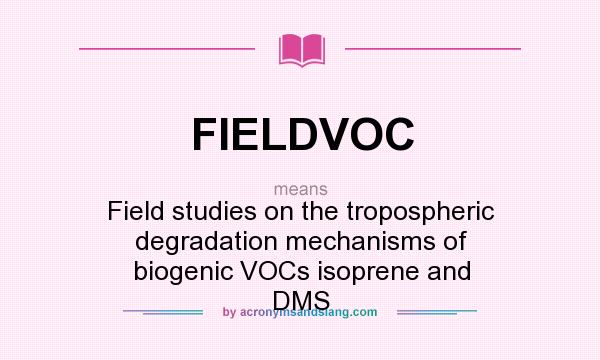 What does FIELDVOC mean? It stands for Field studies on the tropospheric degradation mechanisms of biogenic VOCs isoprene and DMS