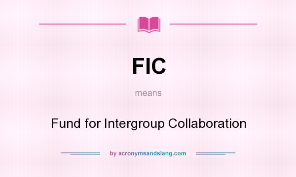 What does FIC mean? It stands for Fund for Intergroup Collaboration