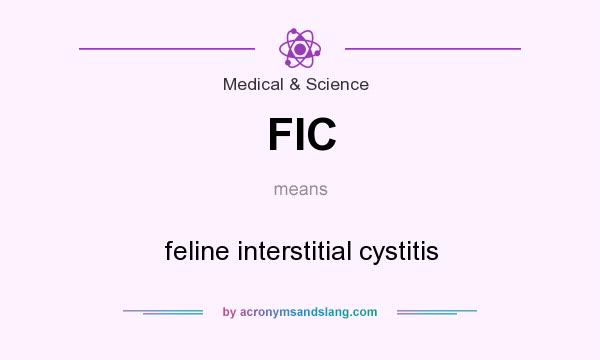 What does FIC mean? It stands for feline interstitial cystitis