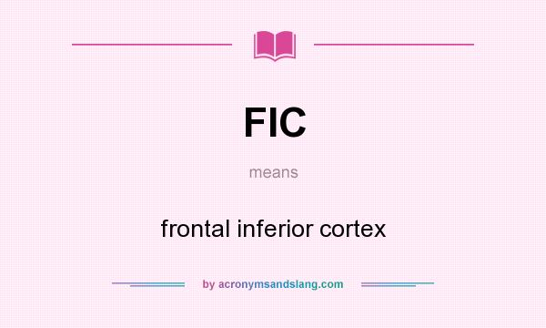 What does FIC mean? It stands for frontal inferior cortex