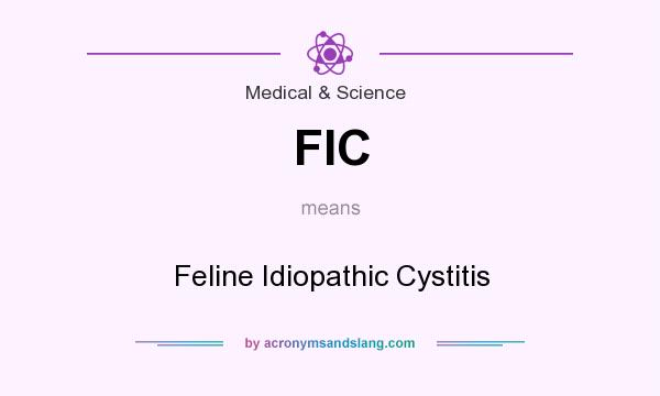 What does FIC mean? It stands for Feline Idiopathic Cystitis