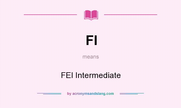 What does FI mean? It stands for FEI Intermediate
