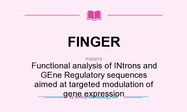 What does FINGER mean? It stands for Functional analysis of INtrons and GEne Regulatory sequences aimed at targeted modulation of gene expression