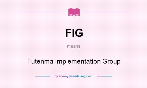 What does FIG mean? It stands for Futenma Implementation Group