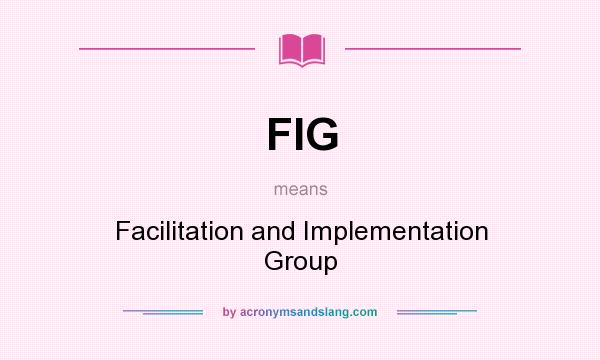 What does FIG mean? It stands for Facilitation and Implementation Group