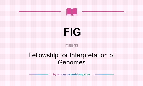 What does FIG mean? It stands for Fellowship for Interpretation of Genomes