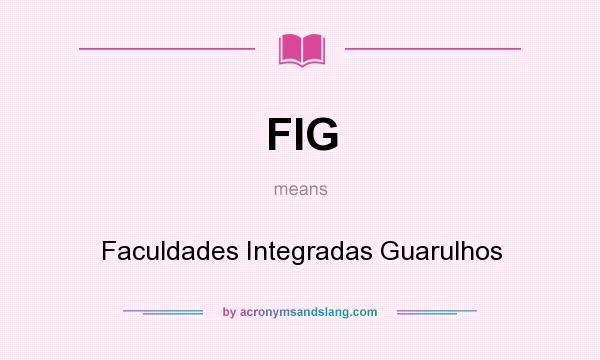 What does FIG mean? It stands for Faculdades Integradas Guarulhos