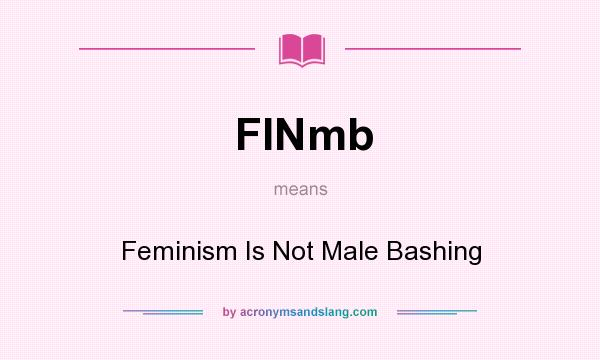 What does FINmb mean? It stands for Feminism Is Not Male Bashing