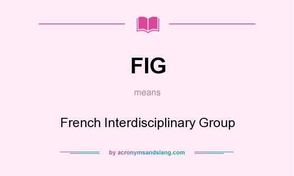 What does FIG mean? It stands for French Interdisciplinary Group