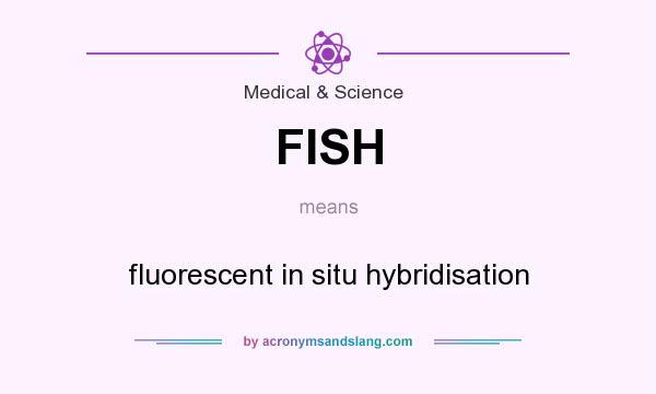 What does FISH mean? It stands for fluorescent in situ hybridisation