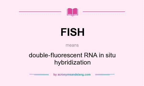 What does FISH mean? It stands for double-fluorescent RNA in situ hybridization