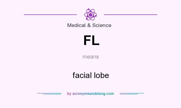 What does FL mean? It stands for facial lobe