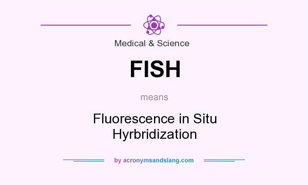 What does FISH mean? It stands for Fluorescence in Situ Hyrbridization