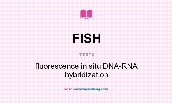 What does FISH mean? It stands for fluorescence in situ DNA-RNA hybridization