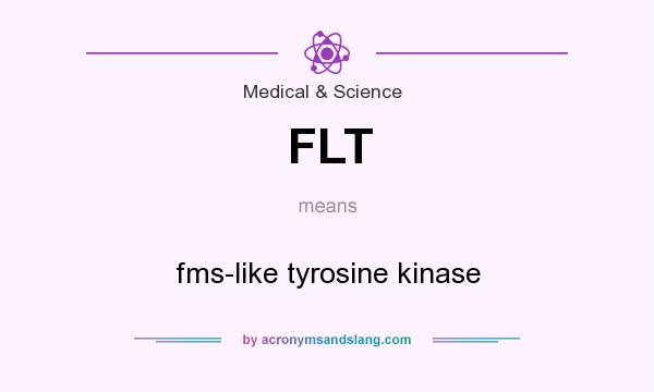 What does FLT mean? It stands for fms-like tyrosine kinase