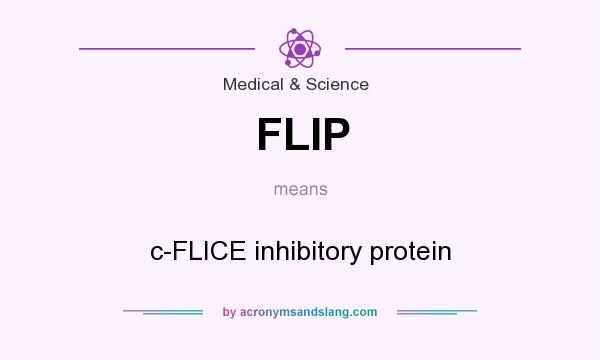 What does FLIP mean? It stands for c-FLICE inhibitory protein