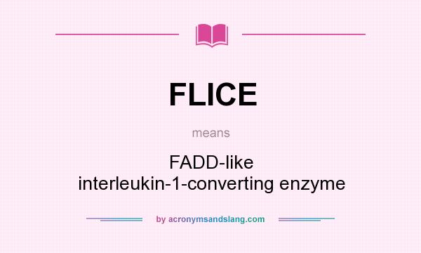 What does FLICE mean? It stands for FADD-like interleukin-1-converting enzyme