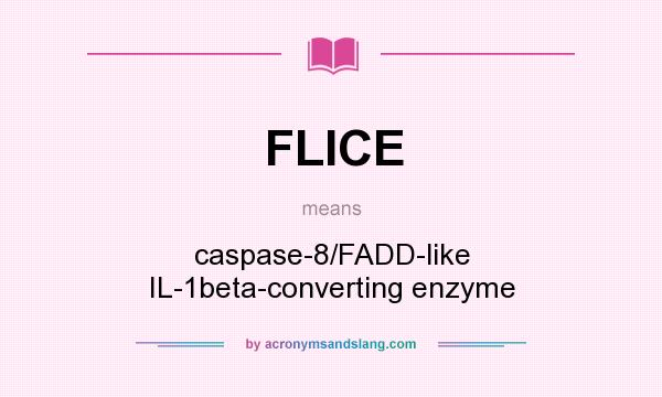 What does FLICE mean? It stands for caspase-8/FADD-like IL-1beta-converting enzyme