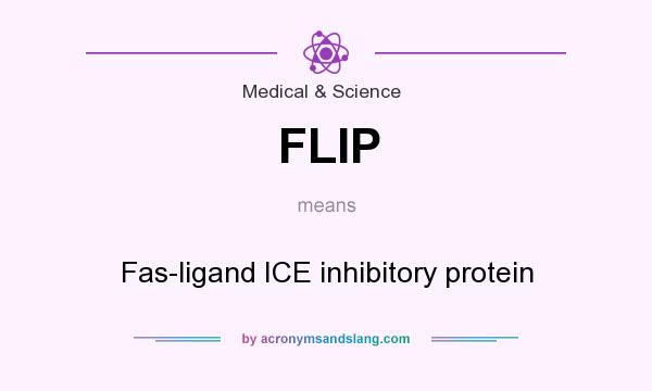What does FLIP mean? It stands for Fas-ligand ICE inhibitory protein