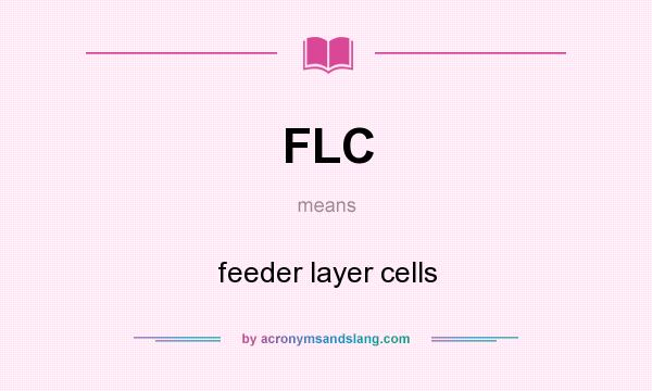 What does FLC mean? It stands for feeder layer cells