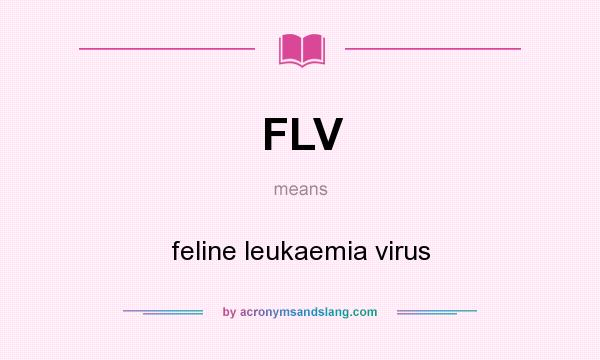 What does FLV mean? It stands for feline leukaemia virus