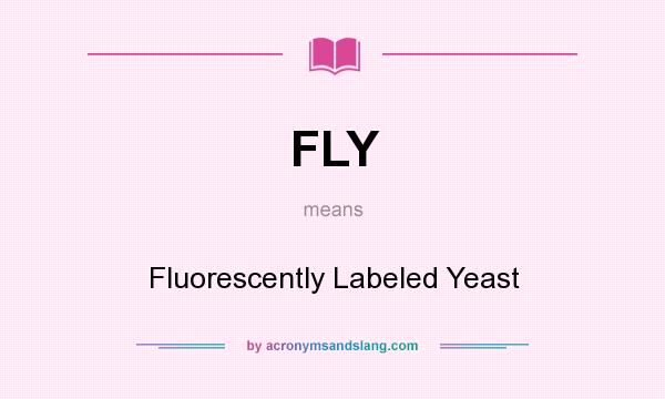 What does FLY mean? It stands for Fluorescently Labeled Yeast