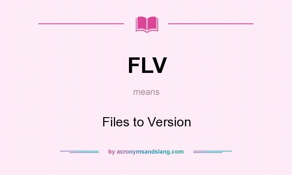 What does FLV mean? It stands for Files to Version