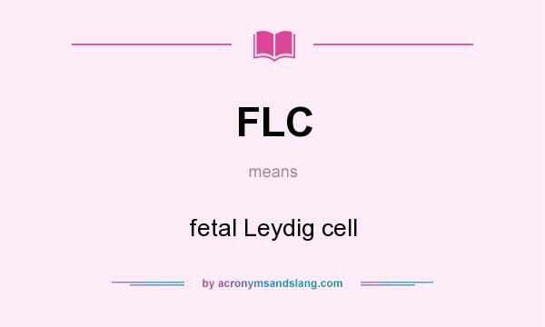 What does FLC mean? It stands for fetal Leydig cell
