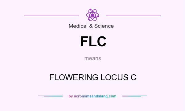 What does FLC mean? It stands for FLOWERING LOCUS C