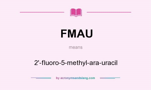 What does FMAU mean? It stands for 2`-fluoro-5-methyl-ara-uracil