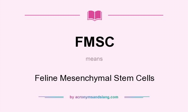 What does FMSC mean? It stands for Feline Mesenchymal Stem Cells