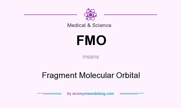 What does FMO mean? It stands for Fragment Molecular Orbital