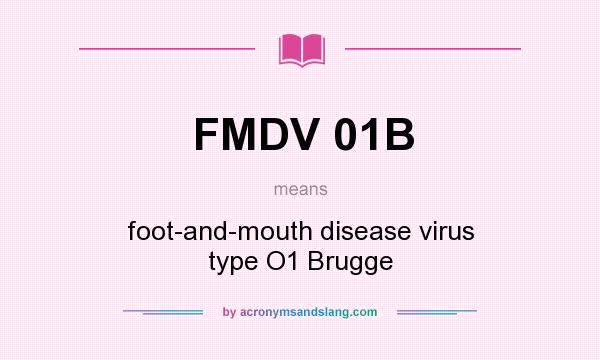 What does FMDV 01B mean? It stands for foot-and-mouth disease virus type O1 Brugge