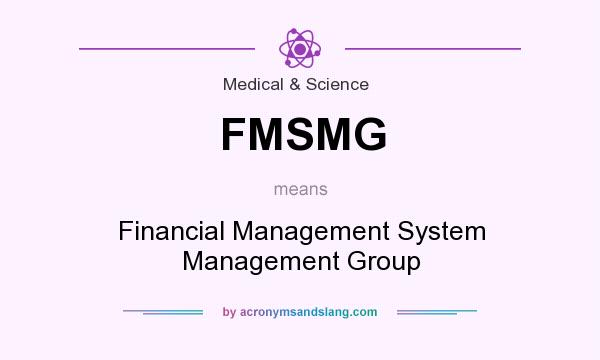 What does FMSMG mean? It stands for Financial Management System Management Group