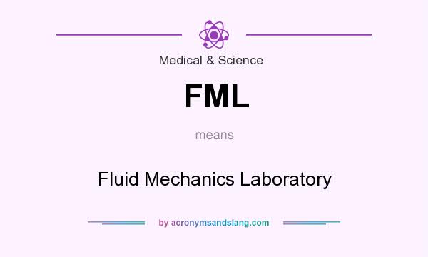 What does FML mean? It stands for Fluid Mechanics Laboratory