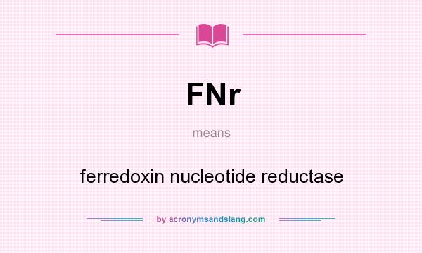 What does FNr mean? It stands for ferredoxin nucleotide reductase