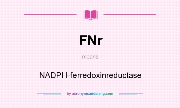 What does FNr mean? It stands for NADPH-ferredoxinreductase