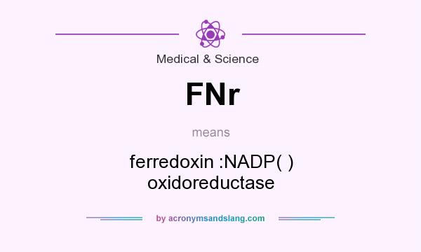 What does FNr mean? It stands for ferredoxin :NADP( ) oxidoreductase