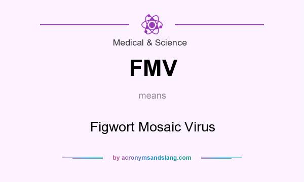 What does FMV mean? It stands for Figwort Mosaic Virus